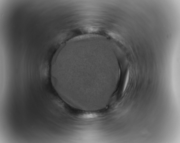 X0000088420760200706051211