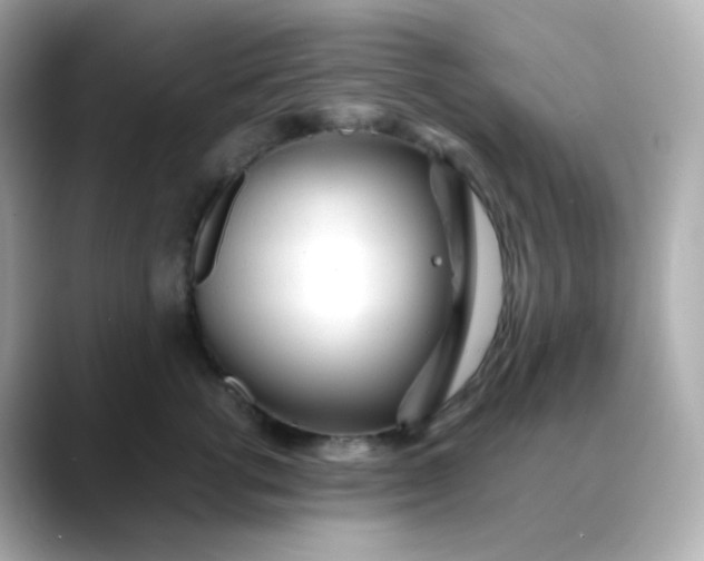 X0000088420762200706051211