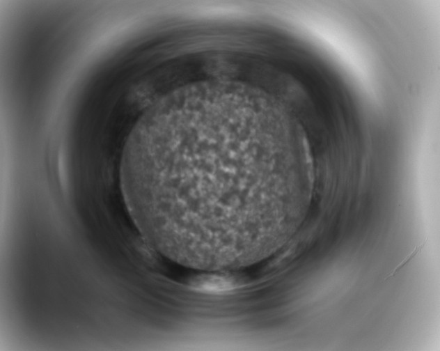 X0000088420765200706051211