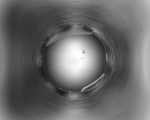 X0000088420766200706051211