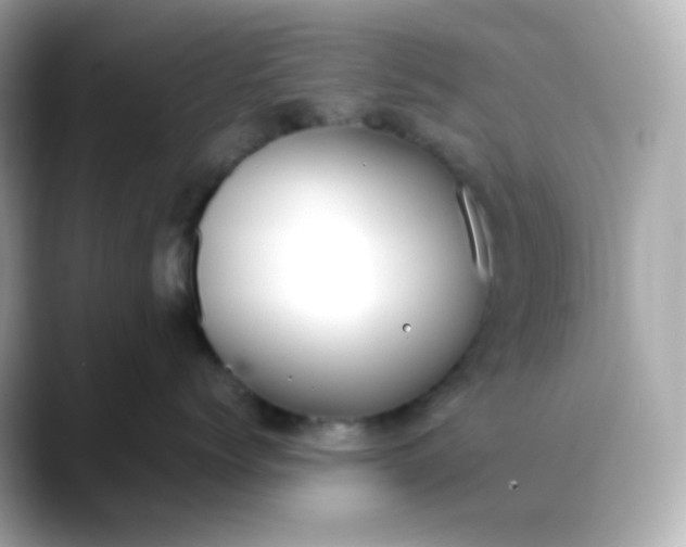 X0000088420768200706051211