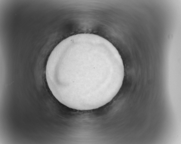 X0000088420769200706051211