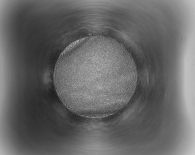 X0000088420770200706051211