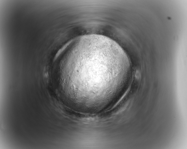 X0000088420771200706051211