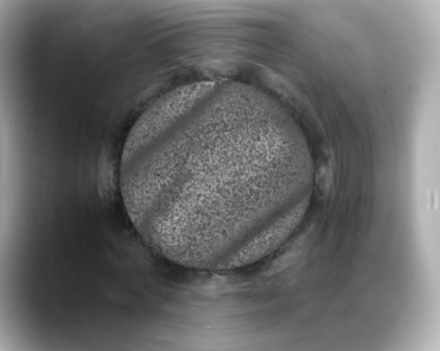X0000088420772200706051211