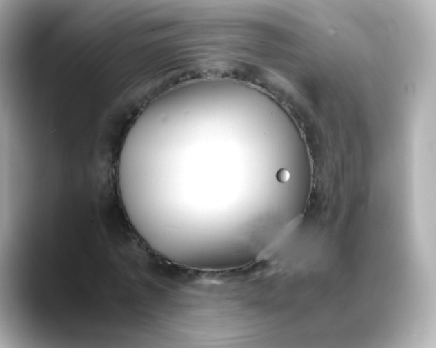 X0000088420773200706051211