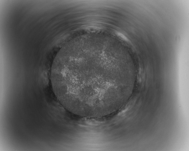 X0000088420774200706051211