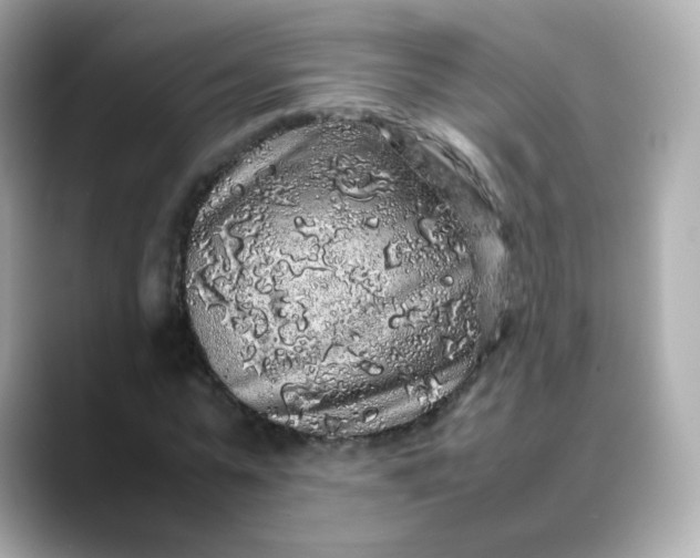 X0000088420775200706051211