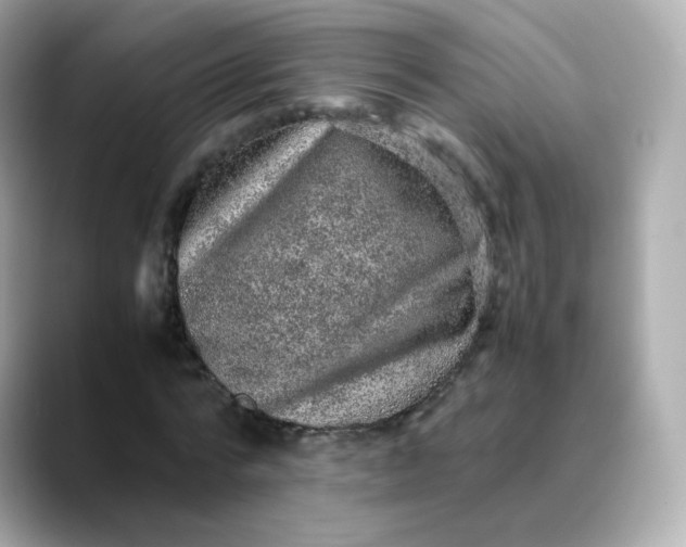 X0000088420776200706051211