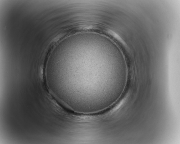 X0000088420777200706051211