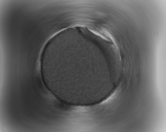 X0000088420779200706051211