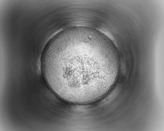 X0000088420782200706051211