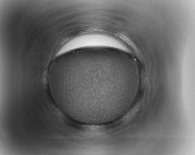 X0000088420785200706051211