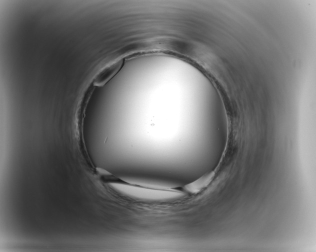 X0000088420789200706051211