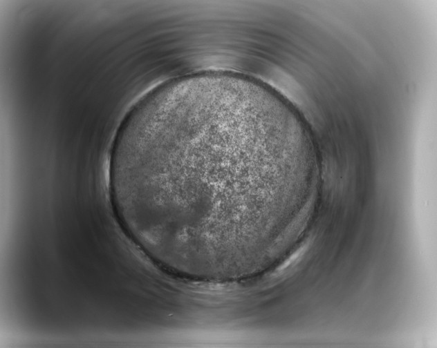 X0000088420790200706051211