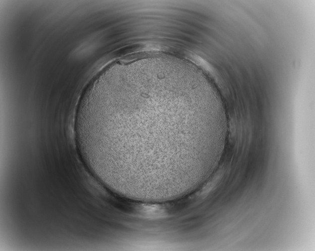 X0000088420794200706051211