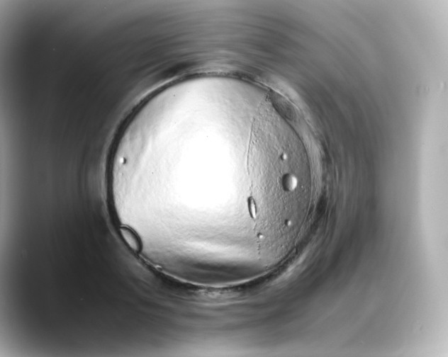 X0000088420795200706051211