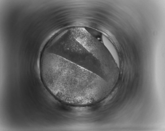 X0000088420796200706051211