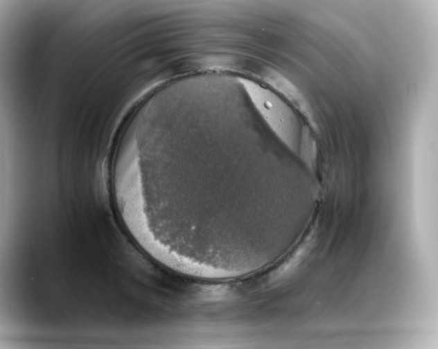 X0000088420798200706051210