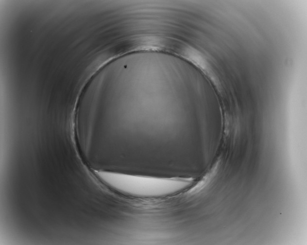 X0000088420802200706051210