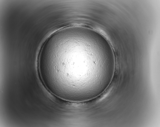 X0000088420803200706051210