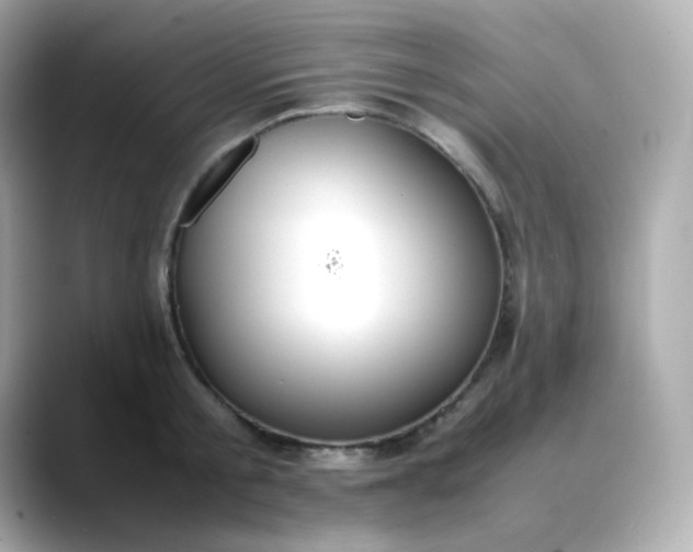 X0000088420805200706051210