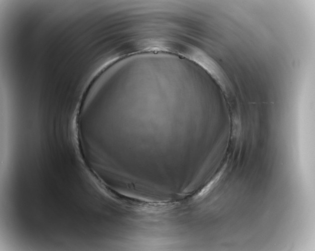 X0000088420806200706051210