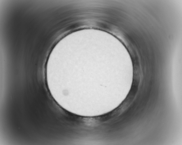 X0000088420807200706051210