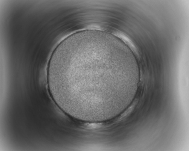 X0000088420808200706051210