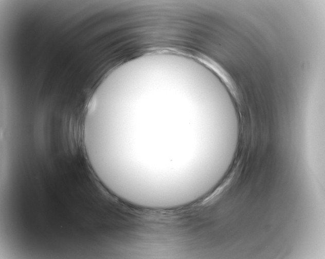 X0000088420809200706051210