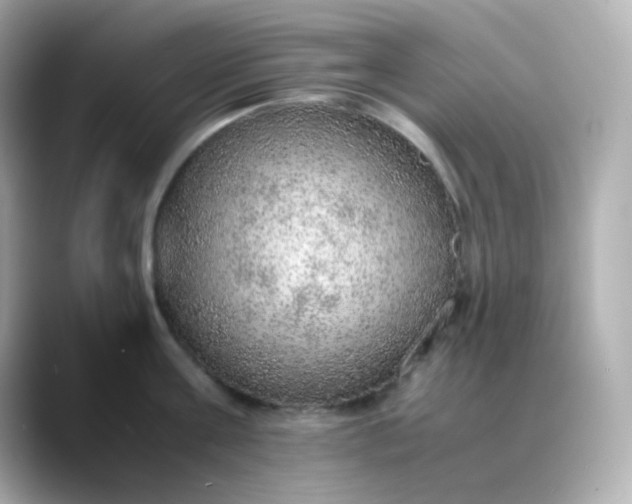 X0000088420811200706051210