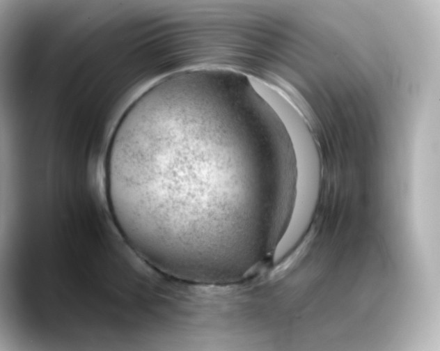 X0000088420812200706051210