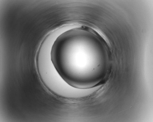 X0000088420813200706051210