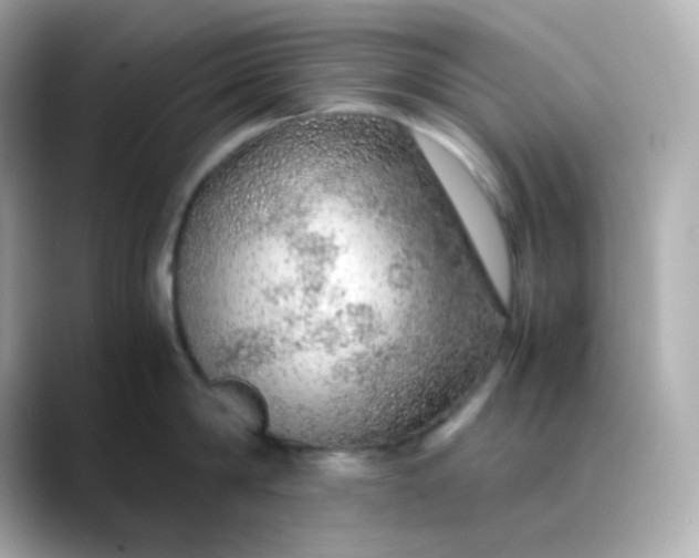 X0000088420814200706051210