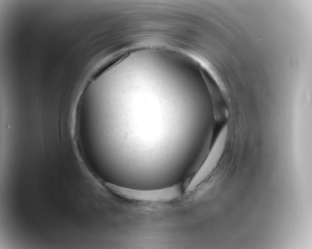 X0000088420815200706051210