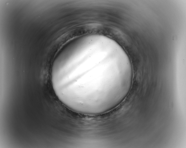 X0000088420821200706051210