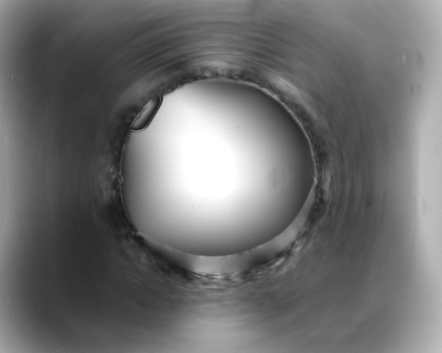 X0000088420822200706051210