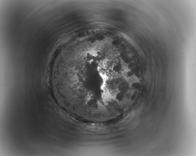 X0000088420823200706051210