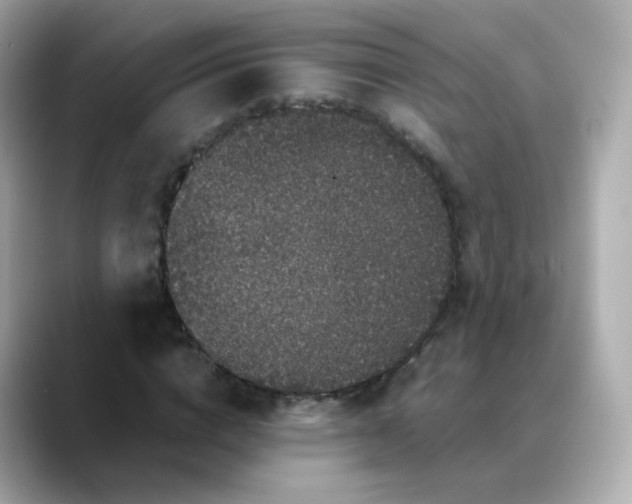X0000088420824200706051210