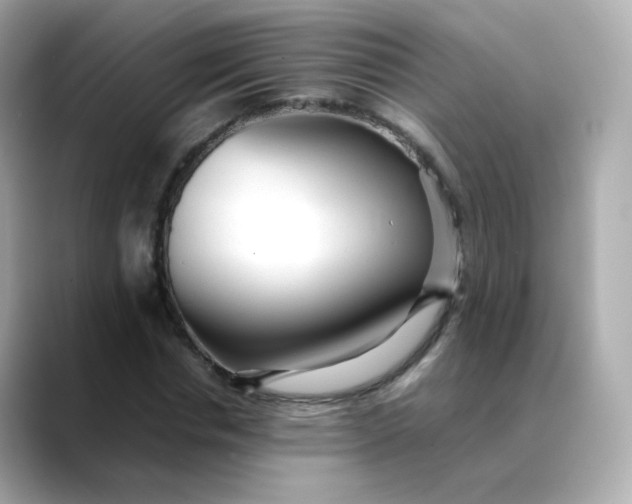 X0000088420826200706051210
