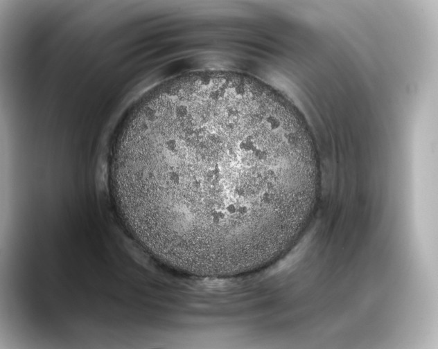 X0000088420827200706051210