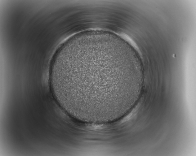 X0000088420831200706051210