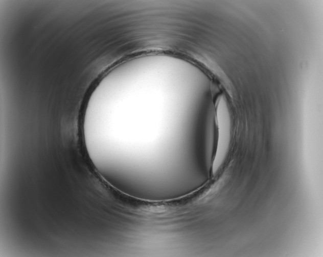 X0000088420834200706051210
