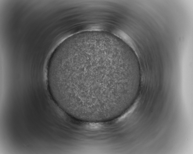 X0000088420835200706051210