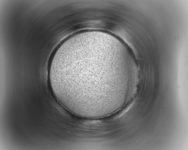 X0000088420837200706051210