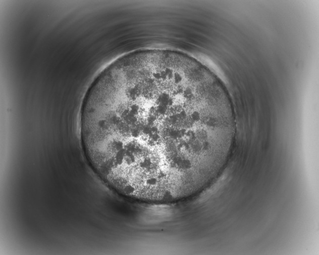 X0000088420839200706051210