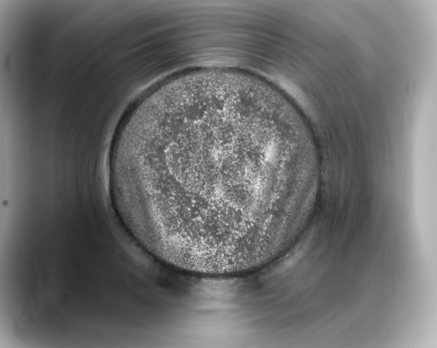 X0000088420840200706051210