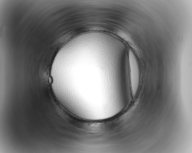X0000088420841200706051210