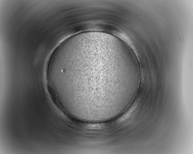X0000088420843200706051210