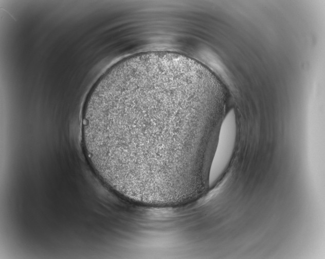 X0000088420844200706051210